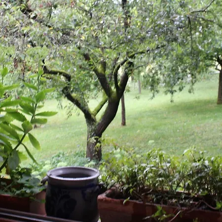 Dans Le Jardin De Marie * Bouxwiller (Bas-Rhin)