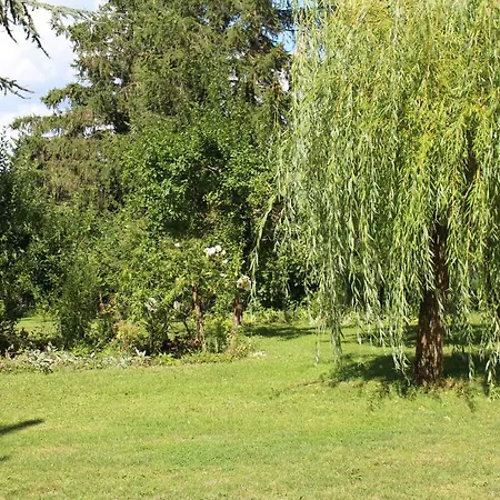 Dans Le Jardin De Marie