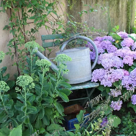 Dans Le Jardin De Marie Bouxwiller (Bas-Rhin)