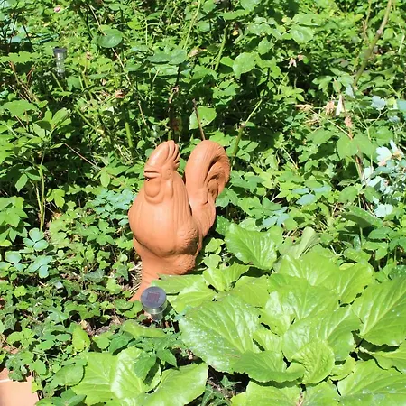 Dans Le Jardin De Marie Bed & Breakfast