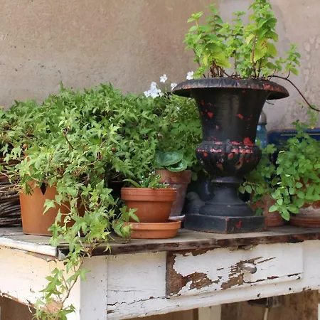 Bed & Breakfast Dans Le Jardin De Marie Bouxwiller (Bas-Rhin)